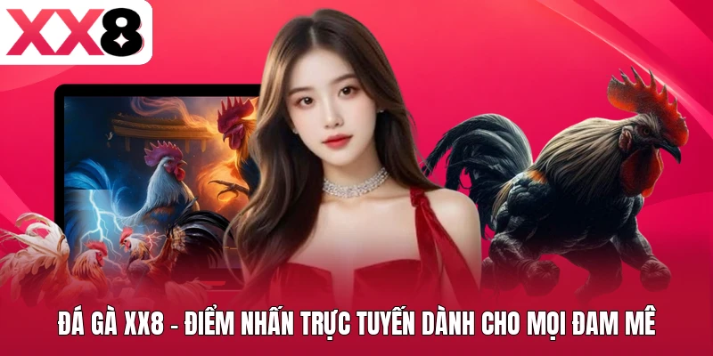 Đá gà XX8 – Điểm nhấn trực tuyến dành cho mọi đam mê