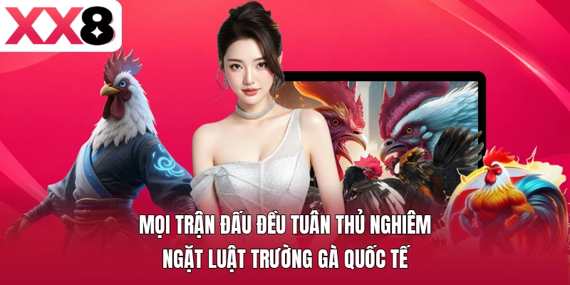 Mọi trận đấu đều tuân thủ nghiêm ngặt luật trường gà quốc tế